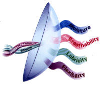 Image of Silicone Hydrogel lens Image of Silicone Hydrogel lens